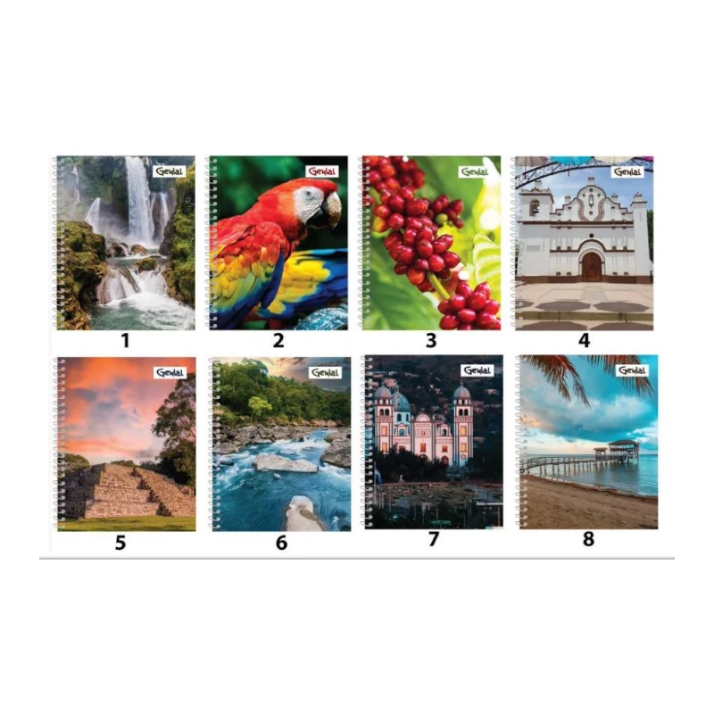 Cuaderno #3 1 Materias 70 Hojas Genial Nuestra Patria