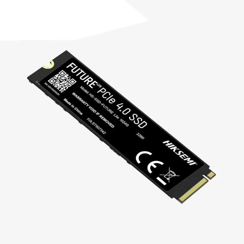 HS-SSD-FUTURE Lite 1024-1