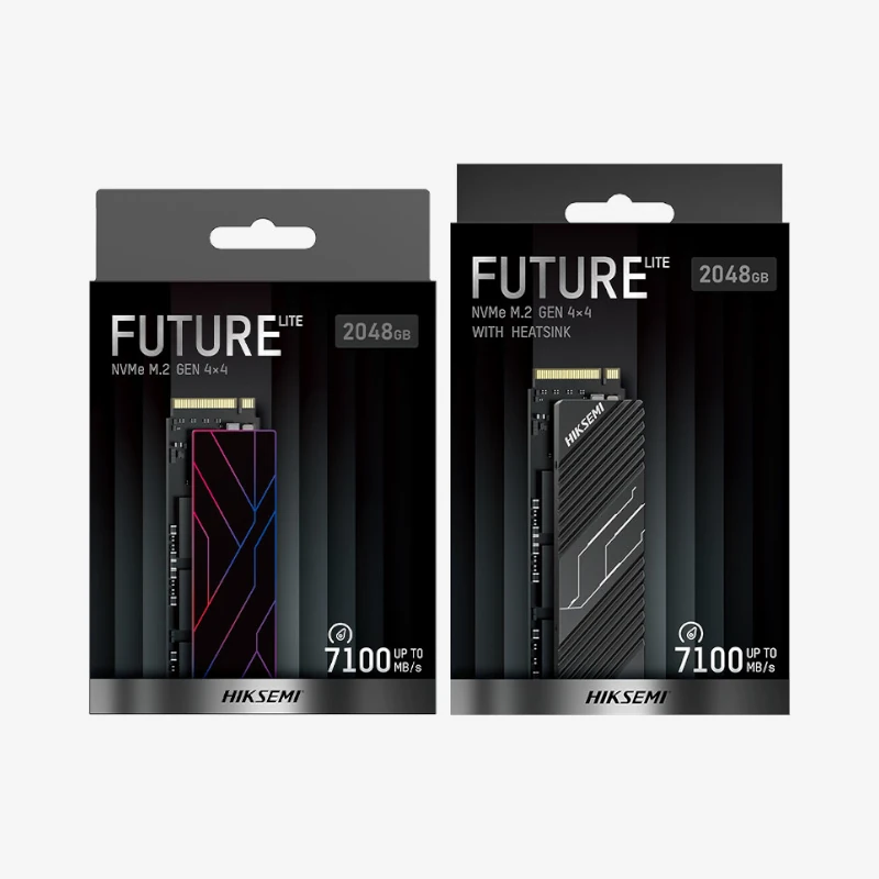 HS-SSD-FUTURE Lite 1024-3