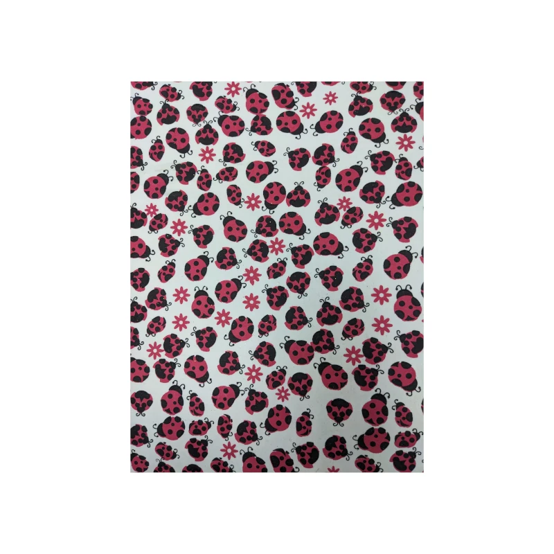 Foamy Pliego Diseño Mariquita Paquete10 50x70cm