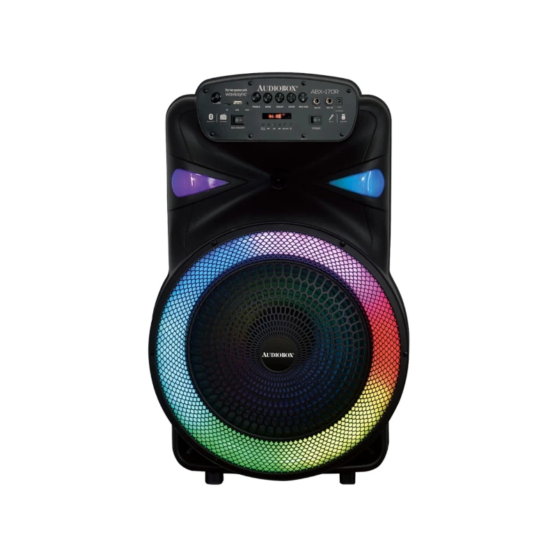 Parlante Amplificador 15  4000W Blth Usb FM Luces Led+Mic Audiobox