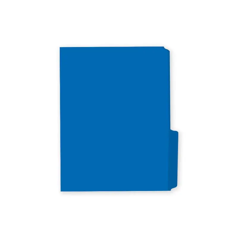 Folder Tamaño Carta Azul Mis Pasitos