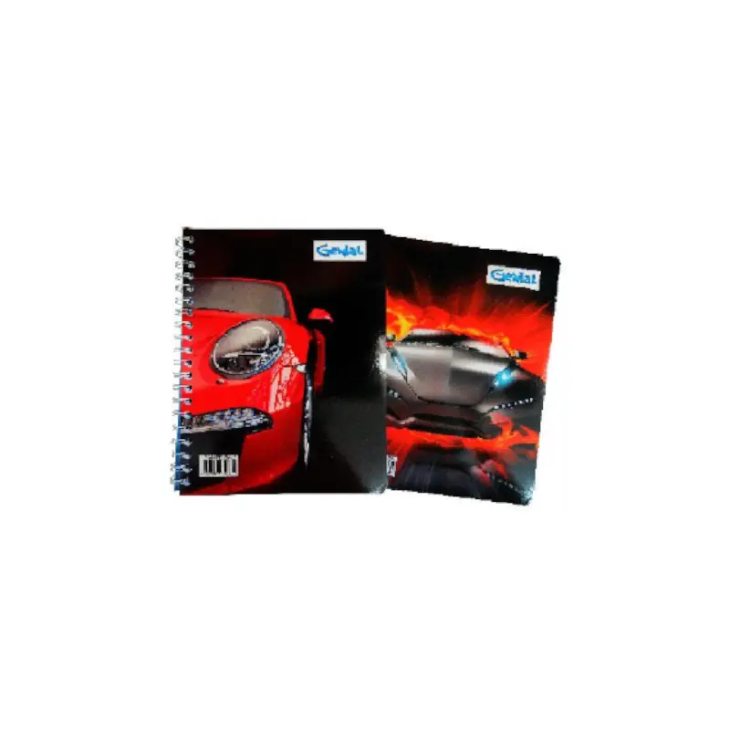 Cuaderno Espiral Doble Anillo 2 Materias Surtido Genial Diseños Masculinos