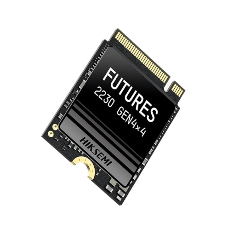 HS-SSD-FUTURES 1024G-1