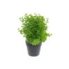 Planta Artificial 24Cm