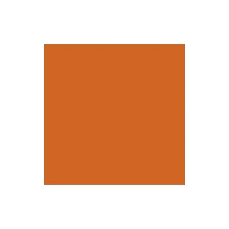 Cartulina Pliego Cascara Huevo Anaranjado Fuerte 47x65cm