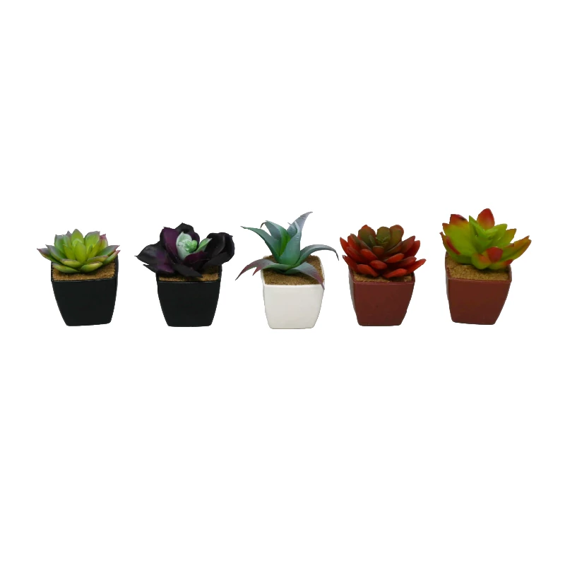 Flor Suculenta Artificial C/Masetera Col Surt