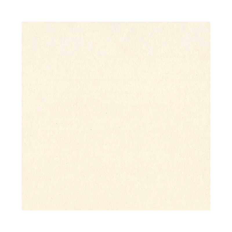Cartulina Lisa 12X12  Natural Bazill