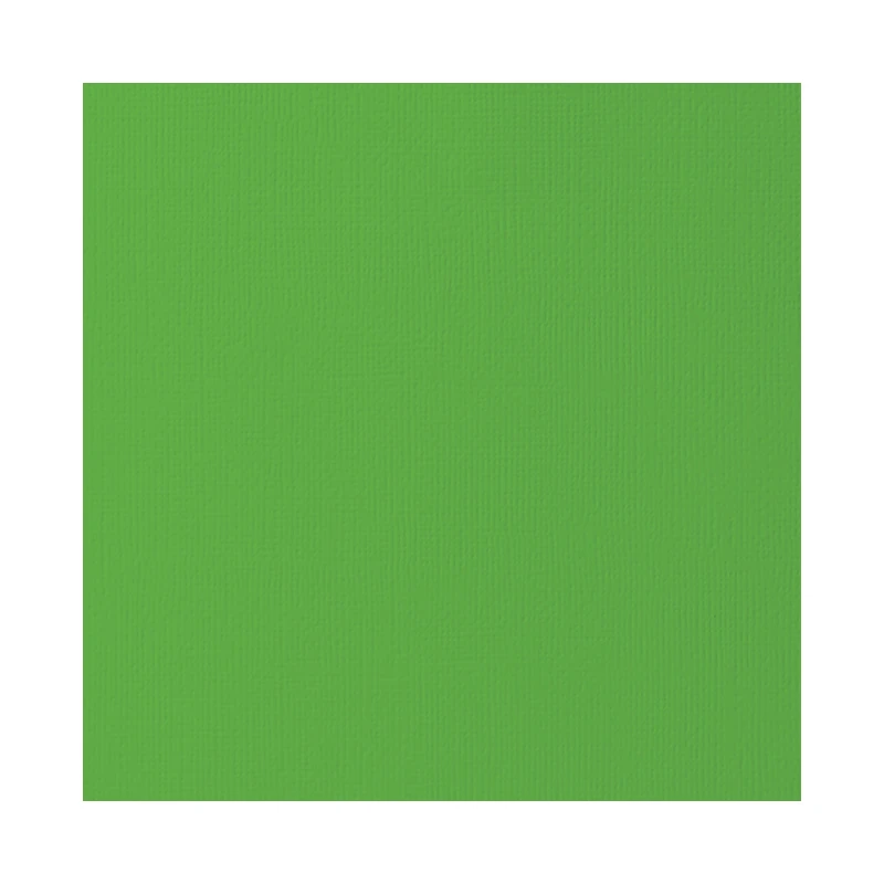 Cartulina Textura 12X12  Verde Pasto American Crafts